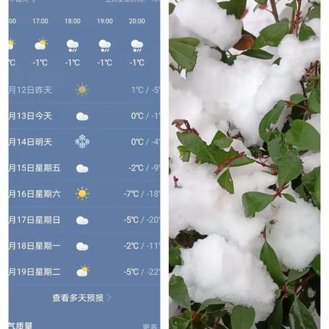 大雪来袭，冻不住的学习热情