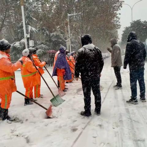 以雪为令，全员上阵，清雪保畅通