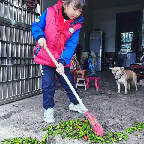 爱劳动的小可爱们，我劳动我快乐！