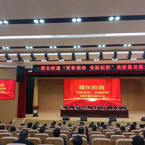 濮东街道召开“双轮驱动 全面起势”高质量发展大会