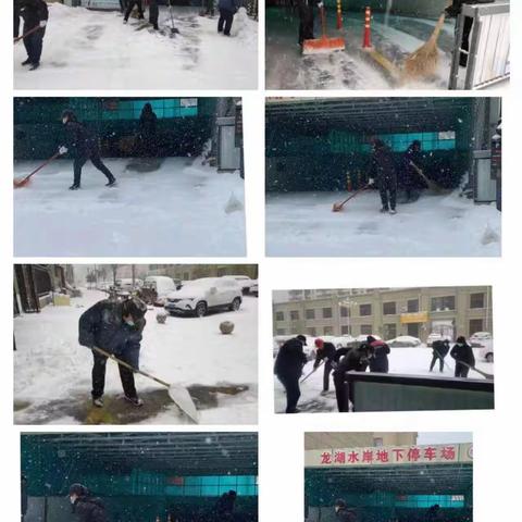 【以雪为令  助民出行】  枣强县住建局物业办组织物业开展清雪行动