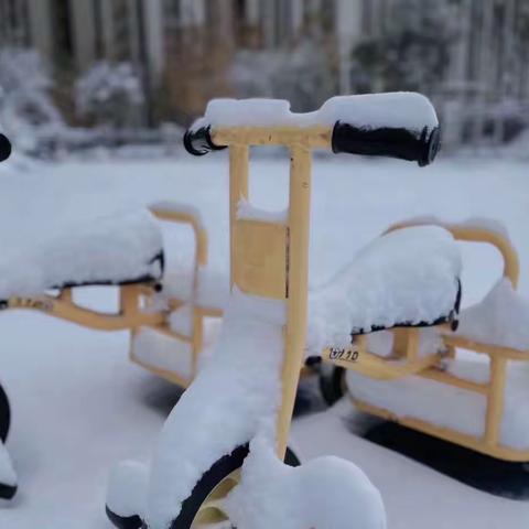 邂逅大雪 云端相伴---小王庄中心幼儿园线上教学活动