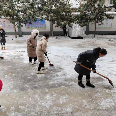 凝心聚力清积雪 迎寒而上爱满园