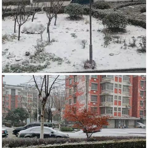 平阴县孔村镇：最美下雪天，最暖物业人