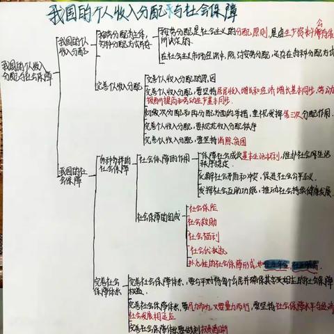 画一章节思维导图