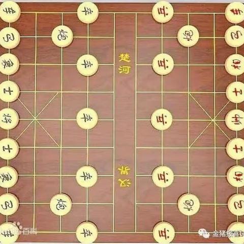 棋王争霸       弈动中华
