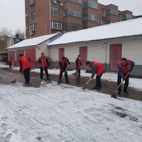 以雪为令，闻雪而动——市农科院组织党员干部开展清扫积雪志愿服务活动