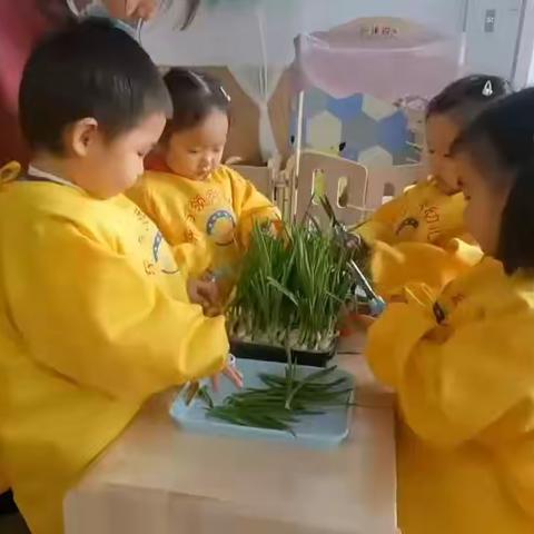 东方领秀幼儿园宝宝班