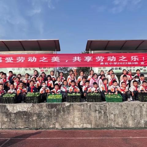 巴南区界石镇中心小学校项目式学习：二年级三班2023年度秋季油菜苗移栽活动