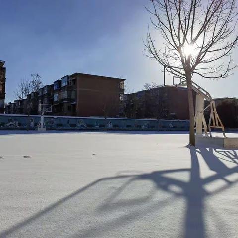 除雪破冰，让冬日的校园更温暖