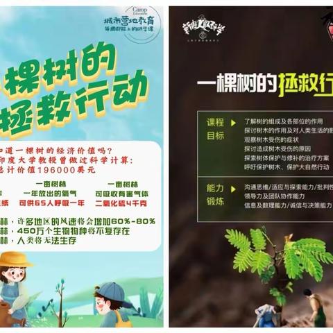 研学实践走进北岭小学——《一棵树的拯救行动》