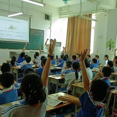 探科学奥秘,展课堂风采——记弘文学校小学科学公开课活动