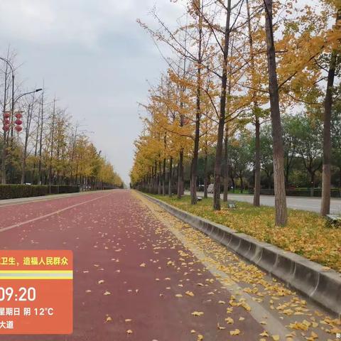 2023.11.6为众物业日常工作美篇。今天天气大幅度降温，风吹落叶满地黄，为应对“落叶季”，加大清扫力度。