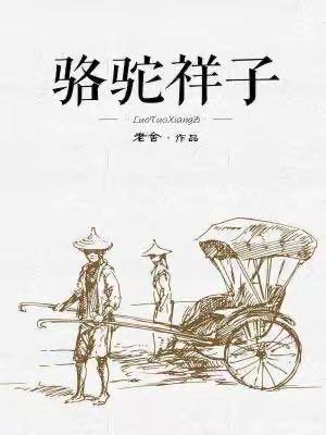 读经典名著，品百味人生——聊城第九中学小学部六年级《骆驼祥子》整本书阅读交流活动