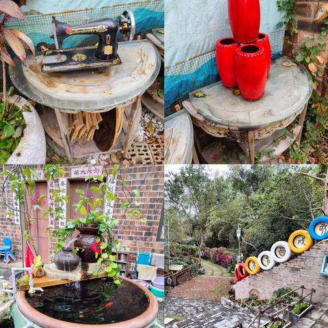 “研”途皆知识，“学”中悟成长