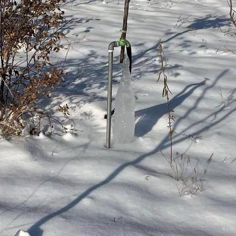 铲雪除冰，情暖寒冬