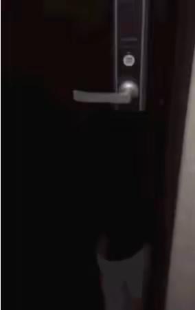 年底了，小偷也要“冲业绩了”，广大业主要加强防范