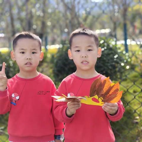 贝乐幼儿园——奇奇睿睿成长档案