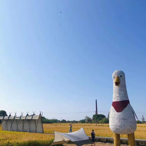 昆山锦溪树果聚乐民宿，来打卡呀！