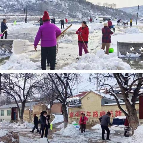 蟠龙镇妇女姐妹以雪为令，积极参与到全民清雪之中