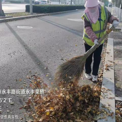 又是一年落叶季，环卫工人清扫忙