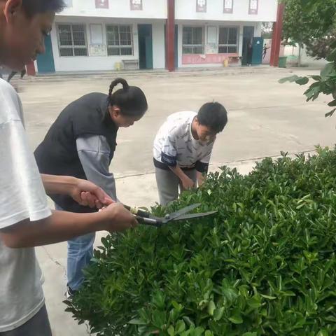 翟村小学——神后是我家，环卫靠大家