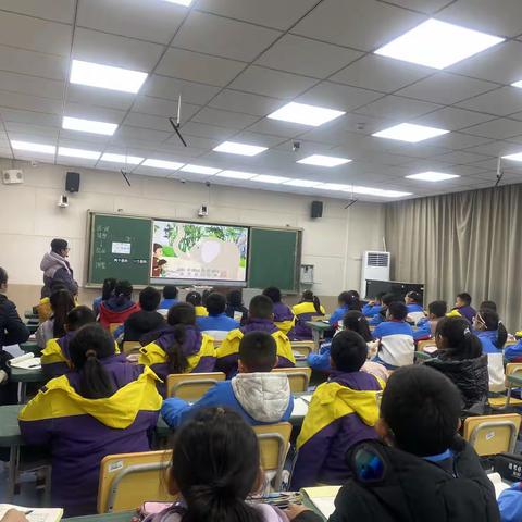 教以共进，研以致远——东平县第四实验小学数学组“半天无课日”教研活动