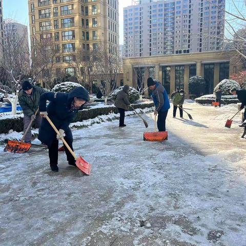 铲雪除冰 情暖寒冬