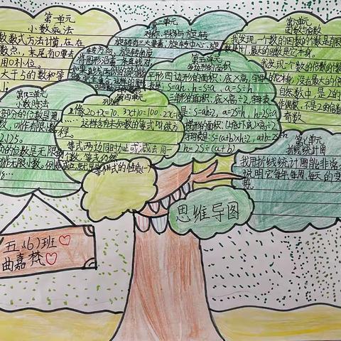 思维见智慧 导图展风采——平度经济开发区小学开展数学思维导图活动