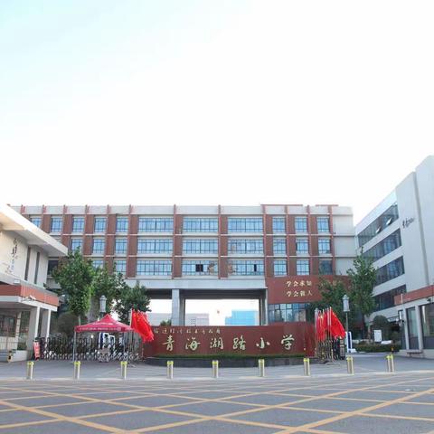 科技强国 未来有我——青海湖路小学科技活动之“胡萝卜建高塔”