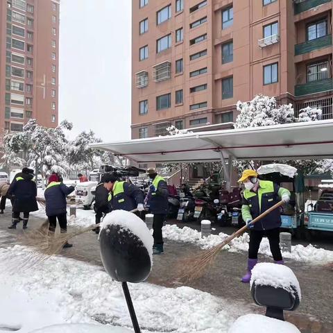 雪过无痕 桃园雅居一期2023年冬日扫雪工作（副本）