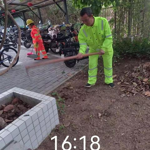 龙华环境的美篇