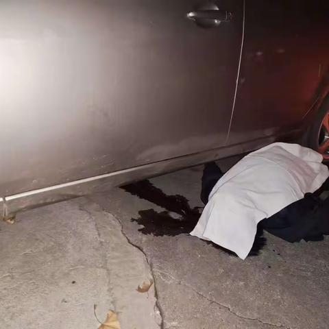 关于死者易发财发生交通事故情况说明