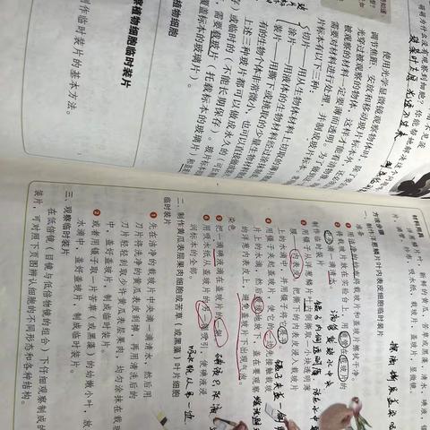 实践检验真知  动手掌握未来