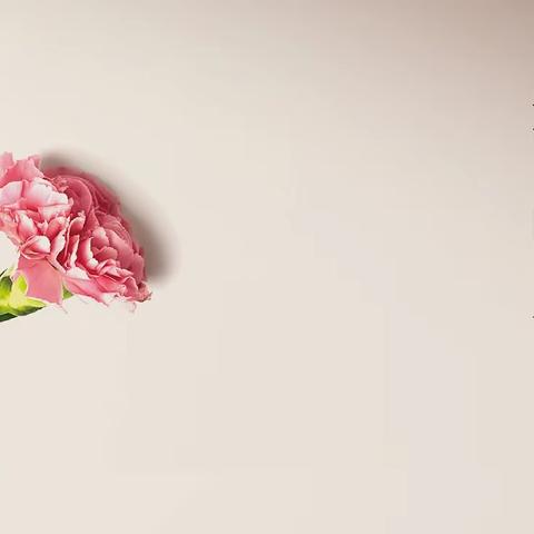 不忘教育初心，牢记担当使命--围子小学教师节廉洁过节系列活动