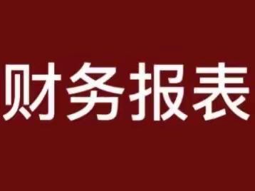 电子税务局办税指南-财务报表有关的知识点