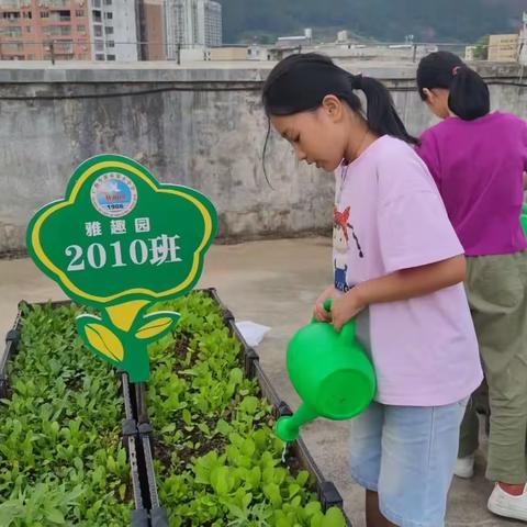 小小园中菜 ，大大幸福心