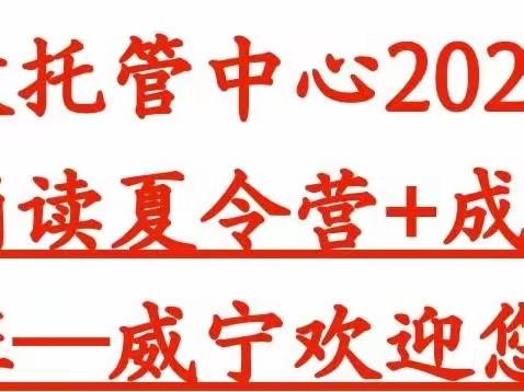 胎早教托管中心2024暑假班—“老子训练营”开班啦！