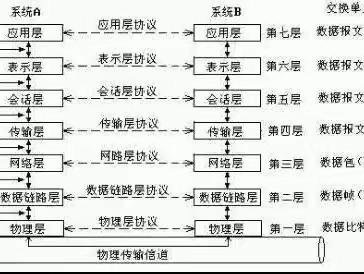 3.25-3.29栗文昕周总结