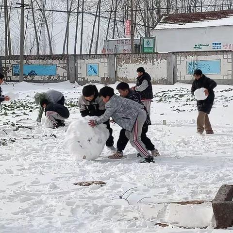 2023年的第一场雪