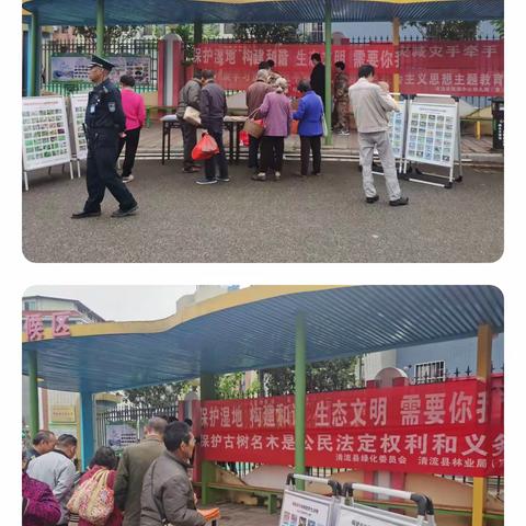 嵩溪镇林业站开展保护名木古树及保护湿地宣传活动