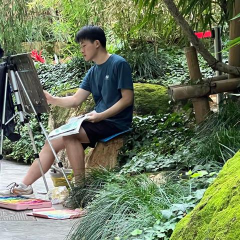 🌲☘️8.21世博园写生🌵🌿