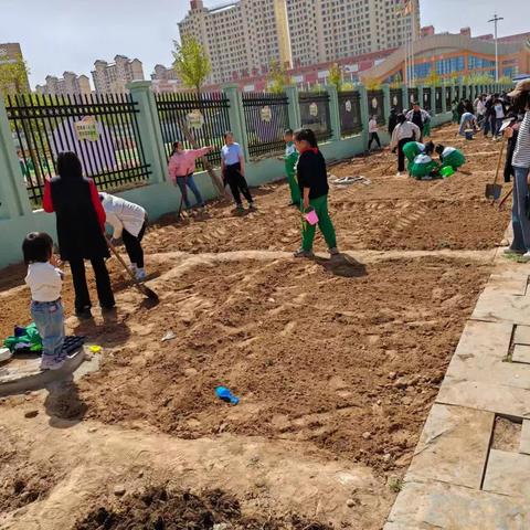 又是一年春好处，校园基地种田忙——薛家湾第八小学四年级劳动实践