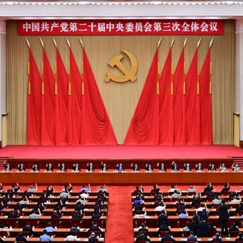 学习全会精神，贯彻落实为人民服务