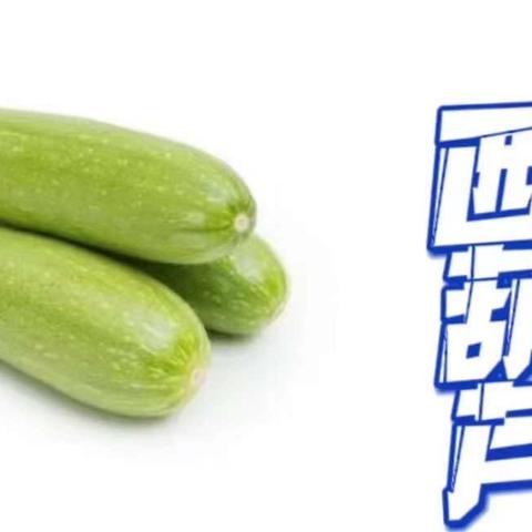 西葫芦种植记——玉溪市红塔区万裕幼儿园小二班种植课程