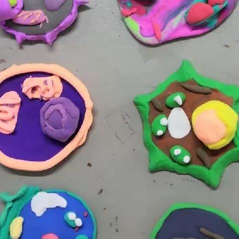 指尖上的生命艺术之动植物细胞模型—七年级生物课后服务