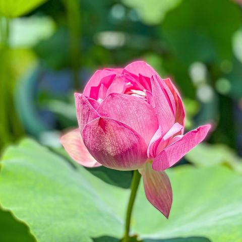 嘉定支行团委举办“嘉味匠心，童心筑梦”主题活动