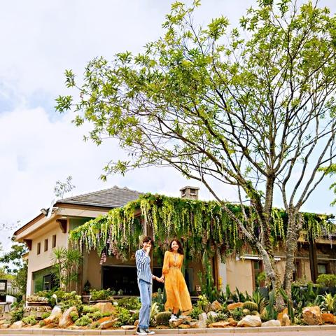 多肉花园-天麓度假别墅（桥头堡店）