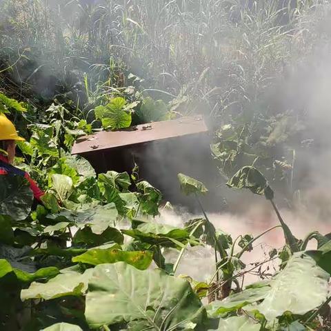 平南水上加油站成功处置周边突发火情