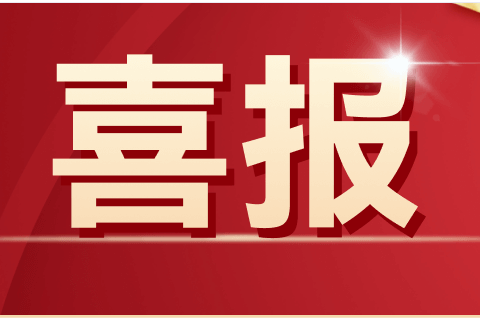 普宁市下架山中学2024年中考喜报